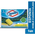 Esponja-Ayudin-Doble-Cuadriculada-1-U-1-38618