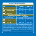 Alimento-Cat-Chow-Kitten-Defense-Nature-4-244382