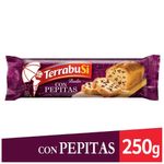 Budin-Terrabusi-Chips-De-Chocolate-250-Gr-1-3059