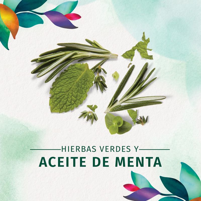 Shampoo-Herbal-Essences-Daily-Detox-Hidratacion-300-Ml-4-45202