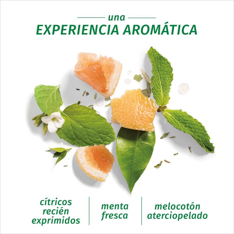 Shampoo-Herbal-Essences-Grapefruit-400-Ml-8-425819