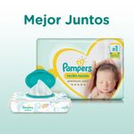 Pañales-Pampers-Premium-Care-Rn--36-U-11-379017