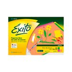 Block-Dibujo-Exito-Fluo-N°5-16-Hojas-1-491567