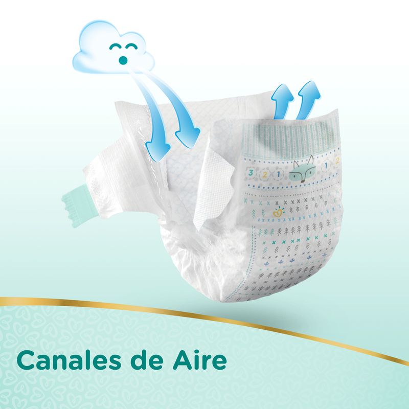 Pampers-Premium-Care-Peq-36padsx04it-5-844531