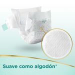 Pampers-Premium-Care-Peq-36padsx04it-6-844531