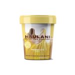 Helado-Haulani-De-Maracuya-A-Base-De-Leche-De-Coco-500-Ml-1-841938
