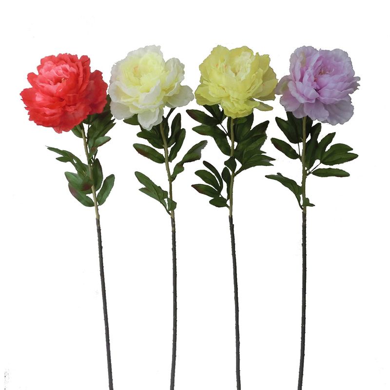 Peonia-82-Cms-Pv18-1-572704