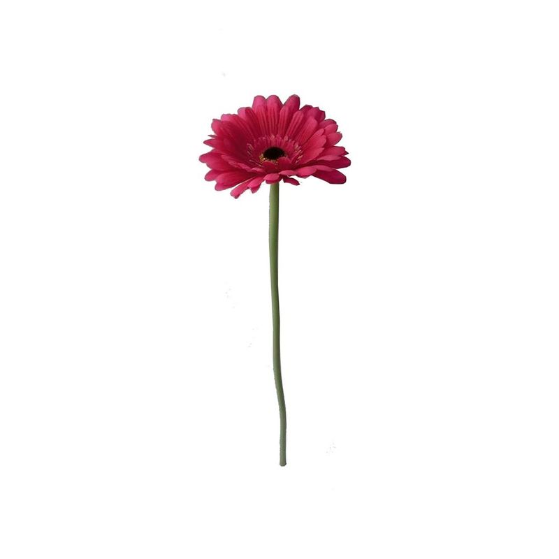 Gerbera-50-Cms-Pv18-1-572806