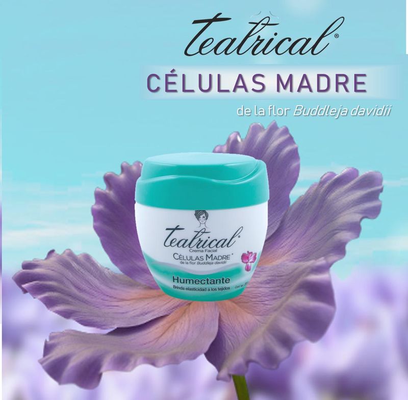 Crema-Facial-Teatrical-Humectante-100-Gr-5-321817