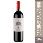 Vino-Eugenio-Bustos-Cabernet-Sauvignon-Botella-750-Cc-1-37129