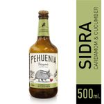 Pehuenia-Sabor-Pepino-Y-Cardamomo-Bot-1-838403