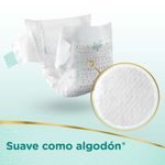 Pañales-Pampers-Premium-Care-M-52-U-6-15292