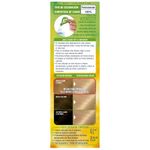 Kit-Completo-De-Coloracion-Permanente-Nutrisse-Clasico-Tono-90--45-Gr-6-29948