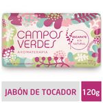 Jabon-Campos-Verdes-Lluvia-De-Verano-120-Gr-1-5502