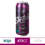 Cerveza-Temple-Scottish-473-Cc-1-849511