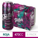 Cerveza-Temple-Scottish-473-Cc-Six-Pack-1-849513