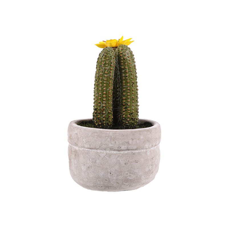Suculenta-En-Maceta-1-606888