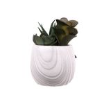 Suculenta-En-Maceta-Simil-Marmol-1-773794