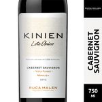 Vino-Kinien-Cab-suav-X750cc-1-4033