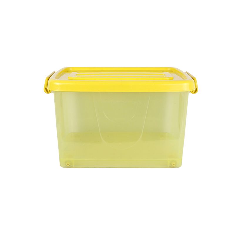 Caja-Org-25lt-C-rued-Color-Trans-Pv18-2-468748