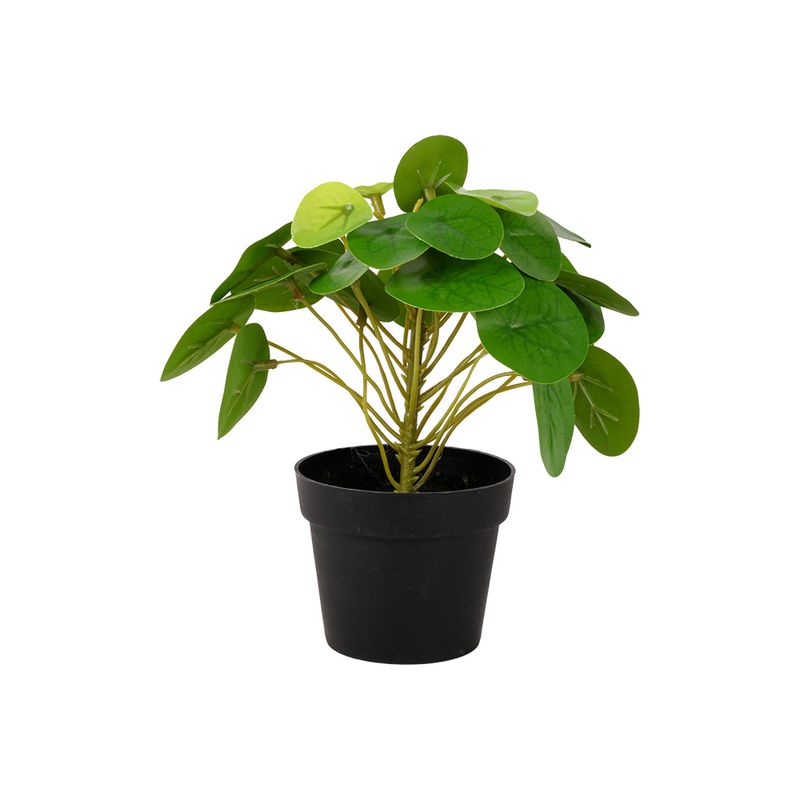 Planta-En-Maceta-1-773740