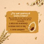 Cereales-Nesfit-300-Gr-5-599379