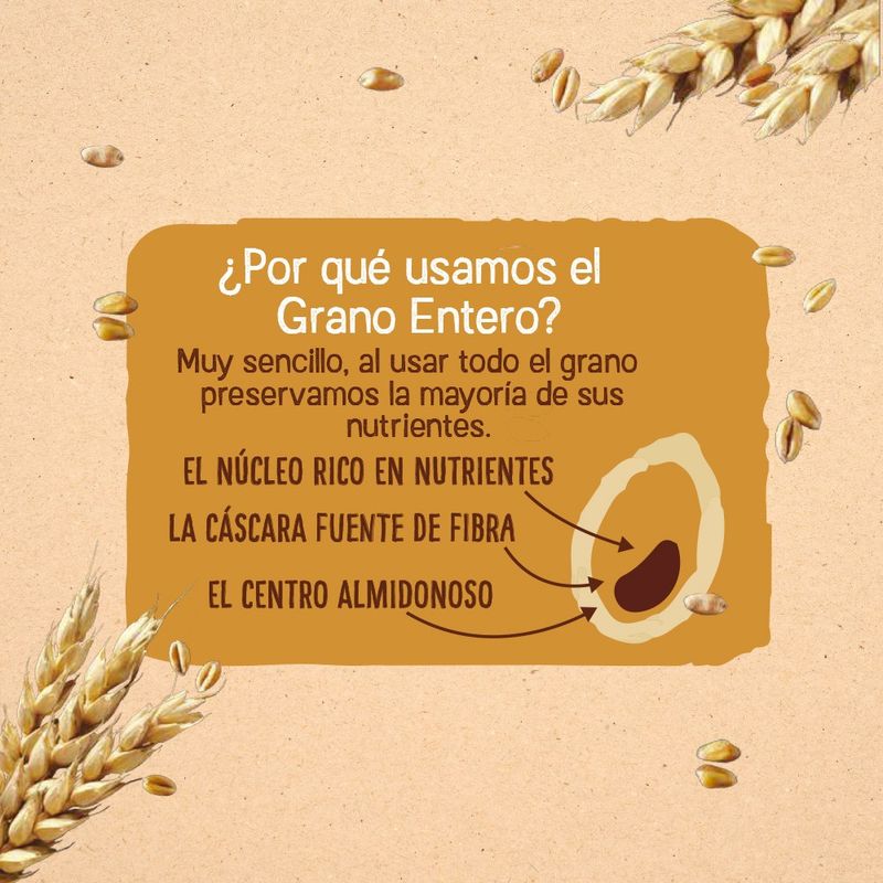 Cereales-Nesfit-300-Gr-5-599379