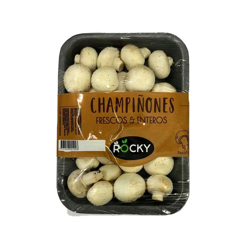 Champi-on-Rocky-X-200grs-1-851192