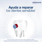 Crema-Dental-Sensodyne-Repara-Y-Protege-100-Gr-6-18553