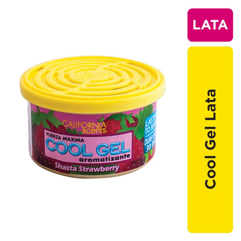 Perfume-Para-Auto-California-Cool-Gel-Lata-2-843028