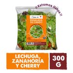 Ensalada-De-Campo-1-843929