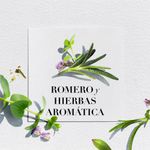 Shampoo-Herbal-Essences-B-o-renew-Rosemary-Herbs-400-Ml-5-250691