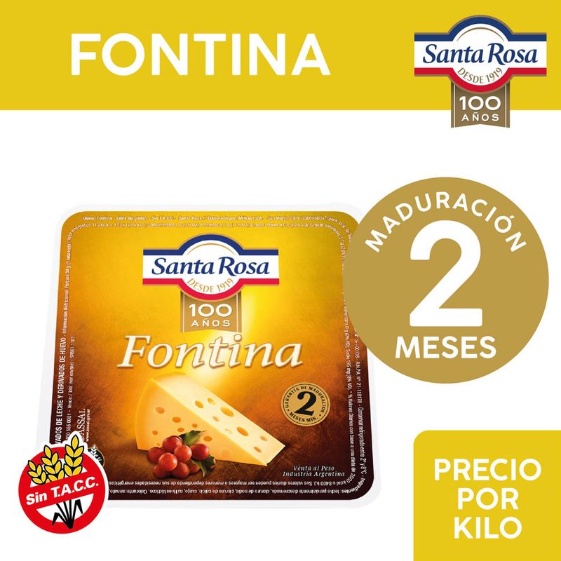 Queso-Fontina-Santa-Rosa-Trozado-X-Kg-1-798654