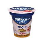 Yog-Ent-Milkaut-Frut-Red-lactosa-125g-1-853604
