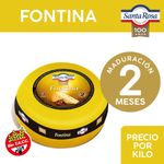 Queso-Fontina-Santa-Rosa-Sob-X-Kg-1-799526