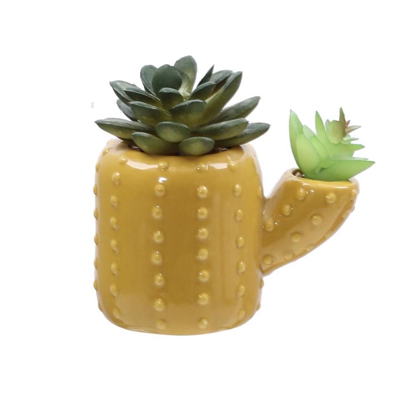 Suculenta-Cactus-Ceramica-Gitana-1-844297