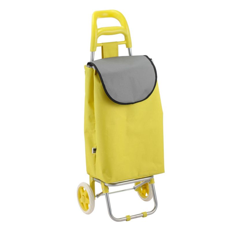 Carro-De-Compras-Color-2-844217