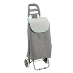 Carro-De-Compras-Color-4-844217