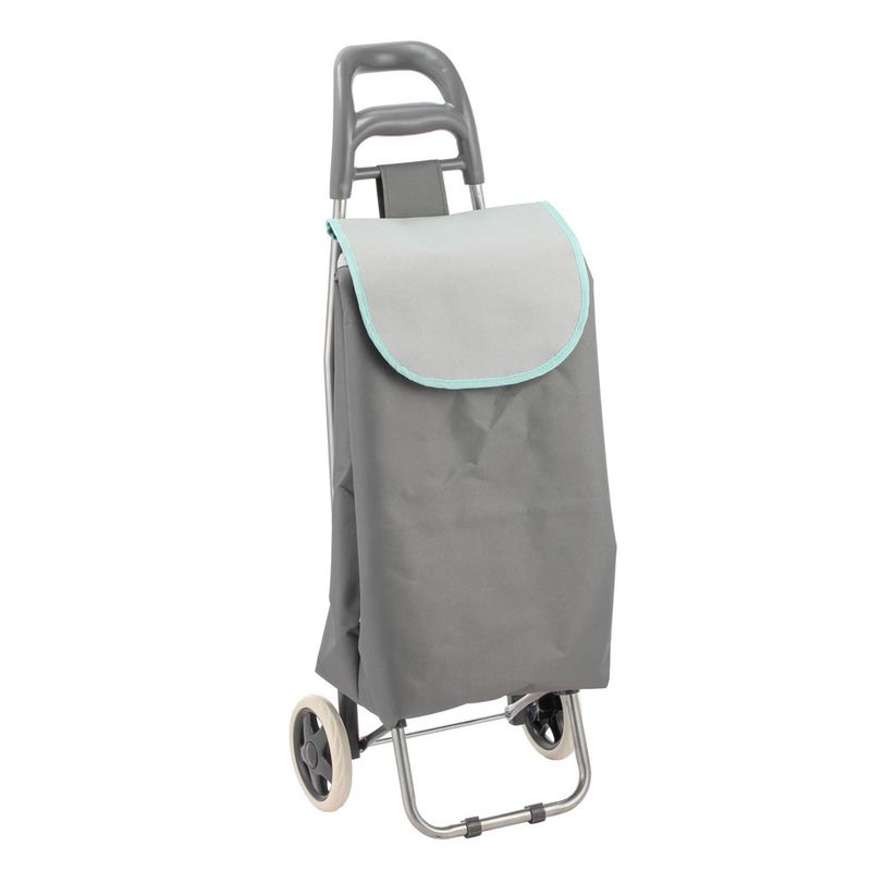 Carro-De-Compras-Color-4-844217