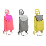Carro-De-Compras-Color-1-844217
