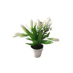 Flores-En-Maceta-D2-2c-3-844109