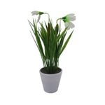 Flores-Blancas-En-Maceta-D1-3c-2-844094