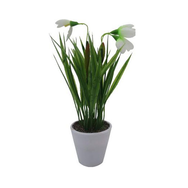 Flores-Blancas-En-Maceta-D1-3c-2-844094