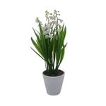 Flores-Blancas-En-Maceta-D1-3c-3-844094
