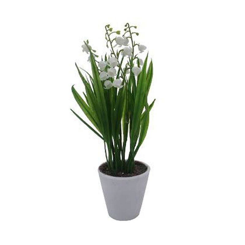 Flores-Blancas-En-Maceta-D1-3c-3-844094