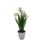Flores-Blancas-En-Maceta-D1-3c-4-844094