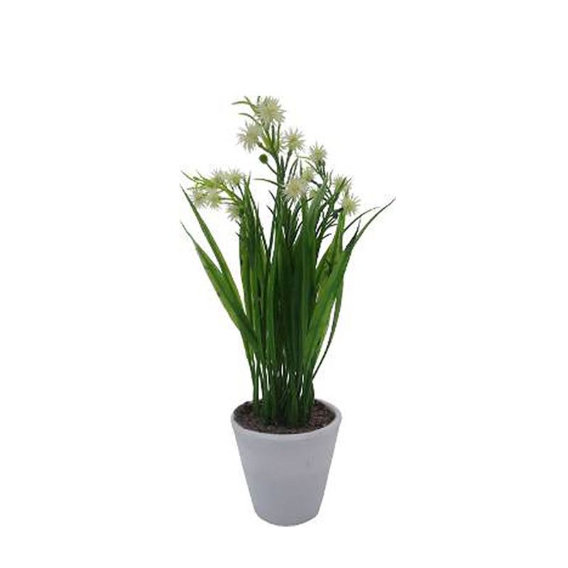 Flores-Blancas-En-Maceta-D1-3c-4-844094