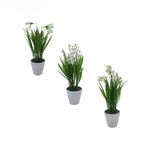 Flores-Blancas-En-Maceta-D1-3c-1-844094
