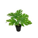 Planta-Verde-En-Maceta-D1-1-844111