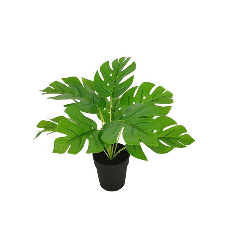 Planta-Verde-En-Maceta-D1-1-844111